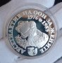 Сребърна монета 10 лева 1984 Десетилетие на ООН за жените Розоберачка, снимка 2