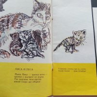 Големите и Малките - Атанас Пацев,Марко Ганчев - 1980г., снимка 4 - Детски книжки - 43549818