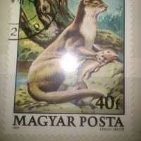 Красива колекция 2 бр. стари Унгарски пощенски марки с животни, 1979 г., снимка 3 - Филателия - 43347498