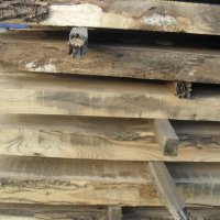Дървен материал талпи Ясен 5 кубика, снимка 7 - Строителни материали - 38752143