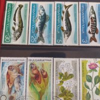 Пощенски марки ЖИВОТНИ, ЦВЕТЯ стари редки от соца поща България за колекция 29212, снимка 8 - Филателия - 37712446