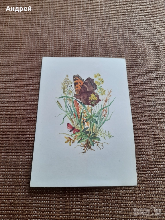 Стара поздравителна картичка, снимка 1
