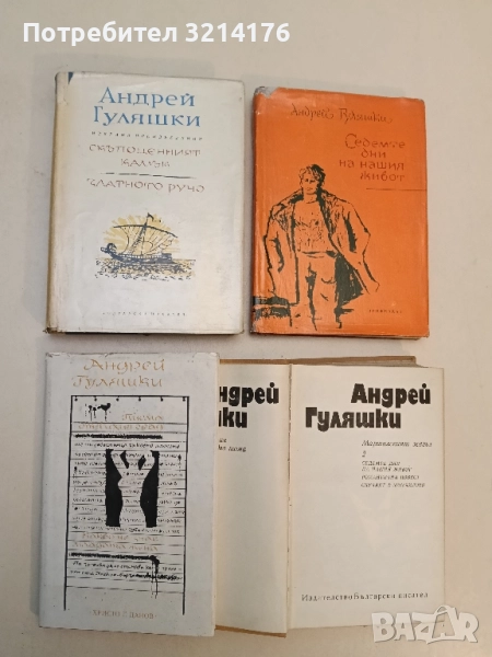 Писма от Тихия град. Какво не знае младата жена - Андрей Гуляшки, снимка 1
