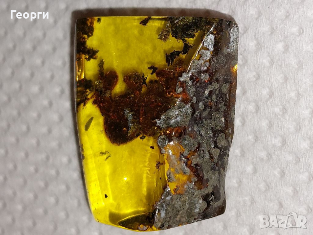 Мексикански кехлибар със запазен термит в него., снимка 6 - Други ценни предмети - 36572237