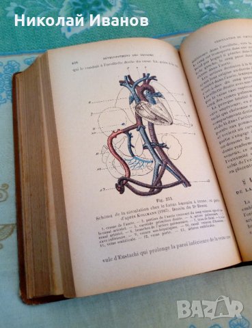 Антикварна медицинска книга учебник на френски език, снимка 4 - Специализирана литература - 28235619
