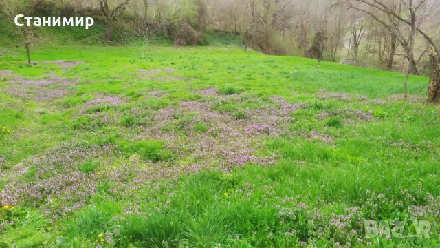 Парцел в регулация