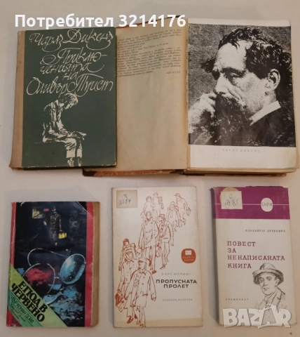 Повест за ненаписаната книга - Елизавета Драбкина