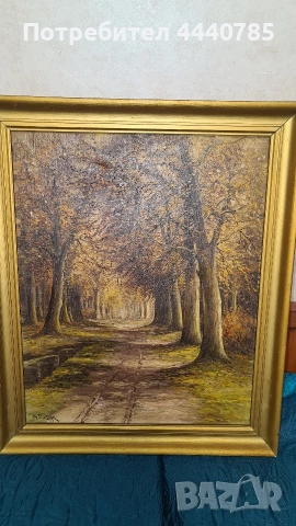 Маслени картини върху платно, снимка 6 - Картини - 53054490