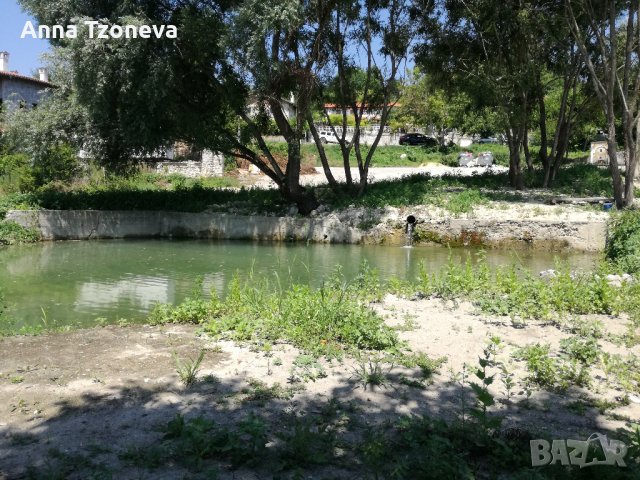 Продавам в с. Прилеп/Чукурово/ къща за гости,хотел,механа,ловна хижа., снимка 10 - Къщи - 33554934