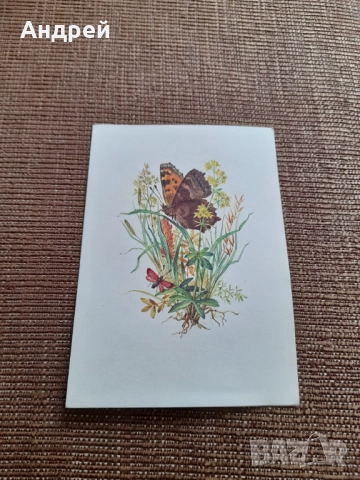 Стара поздравителна картичка