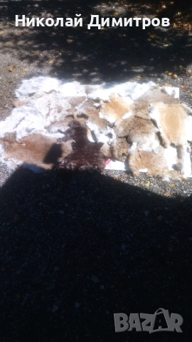 Заешки кожи обработени в кожарска за фабрика Велур . При покупка над 5 кожи безплатна доставка., снимка 3 - Други - 51549805