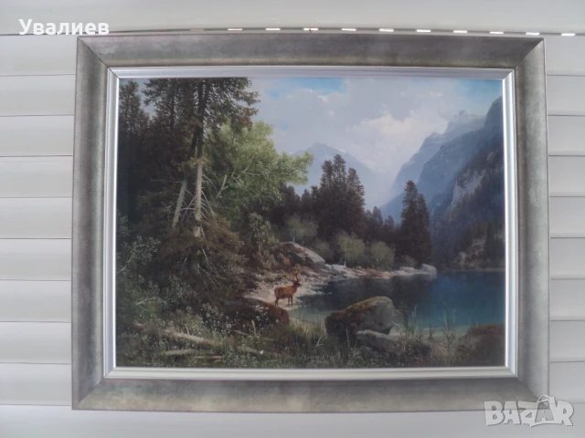 Картини на животни - репродукции, снимка 5 - Картини - 31437451