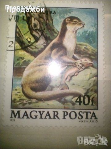 Красива колекция 2 бр. стари Унгарски пощенски марки с животни, 1979 г., снимка 3 - Филателия - 43347498