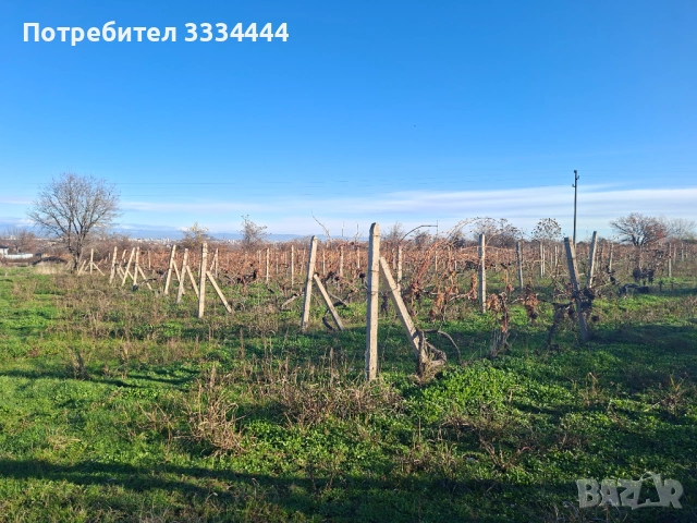 Продавам имот тип лозе, местност "Комсала", с.Марково, гр. Пловдив, снимка 3 - Земеделска земя - 53608503