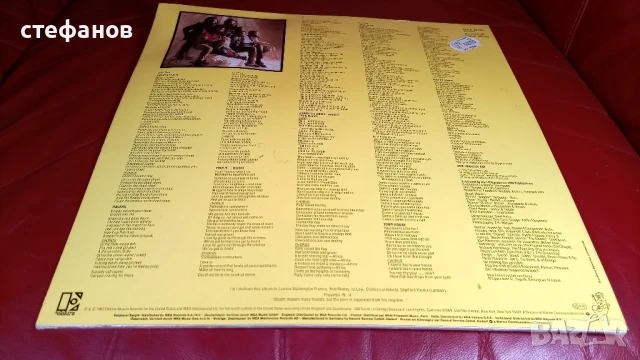 Дългосвиреща грамофонна плоча на STEEL PULSE „true democracy”, Германия, реге, снимка 2 - Грамофонни плочи - 50994418