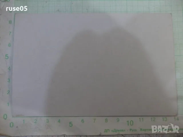 Снимка стара на излет сред природата - 6, снимка 2 - Колекции - 47906008