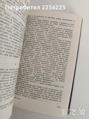 Синият аметист, снимка 2 - Художествена литература - 52791092