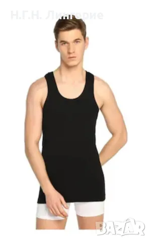 Рипсени потници