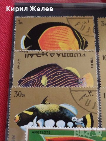 Пощенски марки две серии ЕКВАТОРИАЛНИ РИБИ ПЕРФЕКТНИ за КОЛЕКЦИЯ 37885 , снимка 4 - Филателия - 40476455