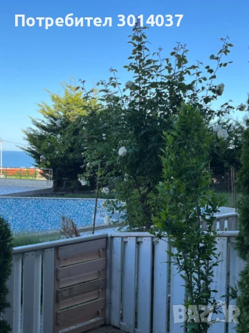 Тристаен апартамент с английски двор, снимка 11 - Апартаменти - 50521531