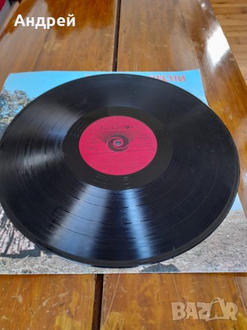 Грамофонна плоча Цигански Песни, снимка 3 - Грамофонни плочи - 32877717