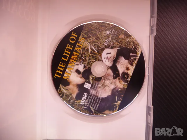 Животът на бозайните DVD филм животни панда тигър слон свят животински BBC, снимка 2 - DVD филми - 48131994