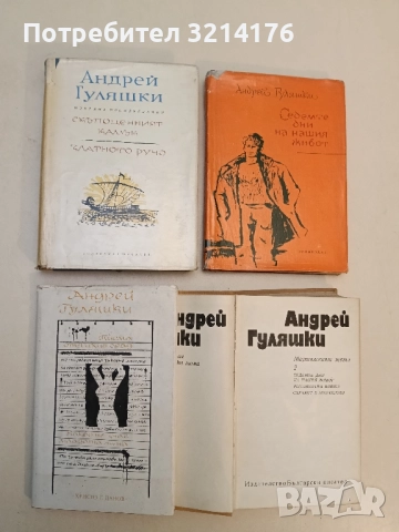 Писма от Тихия град. Какво не знае младата жена - Андрей Гуляшки