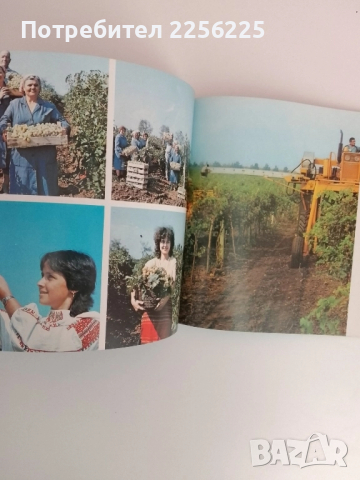 Селското стопанство и хранителната промишленост в Пловдив, снимка 8 - Специализирана литература - 51520287