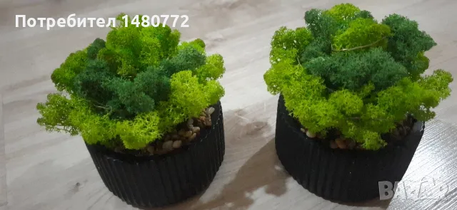 Светеща кашпа със скандинавски мъх , снимка 5 - Декорация за дома - 48169980