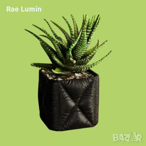 Кашпа – кожена текстура, снимка 1