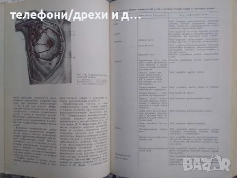 Анатомия человека. Том 1-2 (1986), снимка 2 - Енциклопедии, справочници - 49855016
