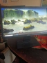 22"LCD monitor Acer, снимка 1