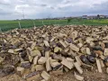 Дърва за огрев , снимка 2