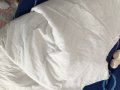 Олекотена завивка, снимка 1 - Олекотени завивки и одеяла - 38521967