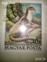 Красива колекция 2 бр. стари Унгарски пощенски марки с животни, 1979 г., снимка 3