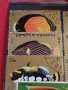 Пощенски марки две серии ЕКВАТОРИАЛНИ РИБИ ПЕРФЕКТНИ за КОЛЕКЦИЯ 37885 , снимка 4