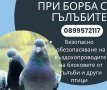 Кърти извозва почиства, снимка 2