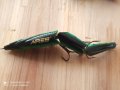 Воблер Fil Fishing Filex Ares 10.5 Variable Joint, снимка 3