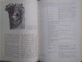 Анатомия человека. Том 1-2 (1986), снимка 2