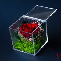 Естествена Вечна Роза в Акрилна Кутия / Уникален Подарък за Рожден Ден / Жива Вечна Роза в Кутия, снимка 9 - Подаръци за жени - 43749115