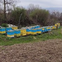 Пчелни кошери - Кошери - Pchelni kosheri - Kosheri , снимка 16 - За пчели - 40275469