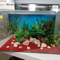 Нов аквариум за рибки, снимка 2 - Аквариуми - 44922920