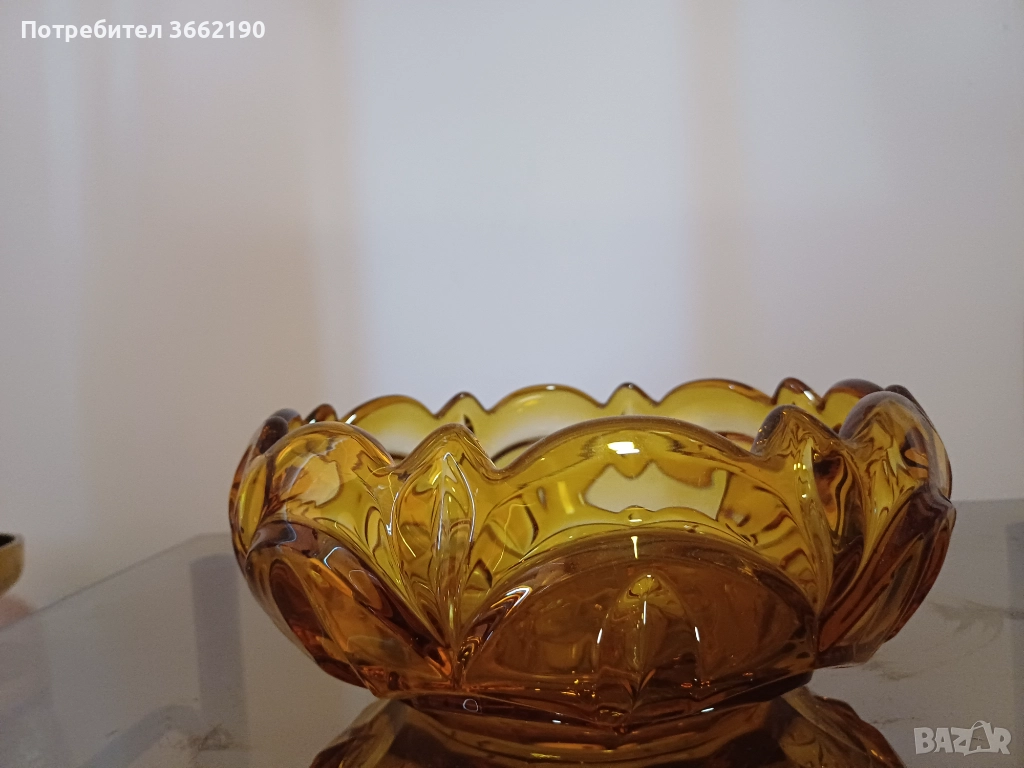 Голяма Фруктиера, снимка 1