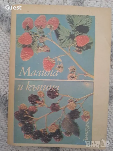 Малина и къпина, снимка 1