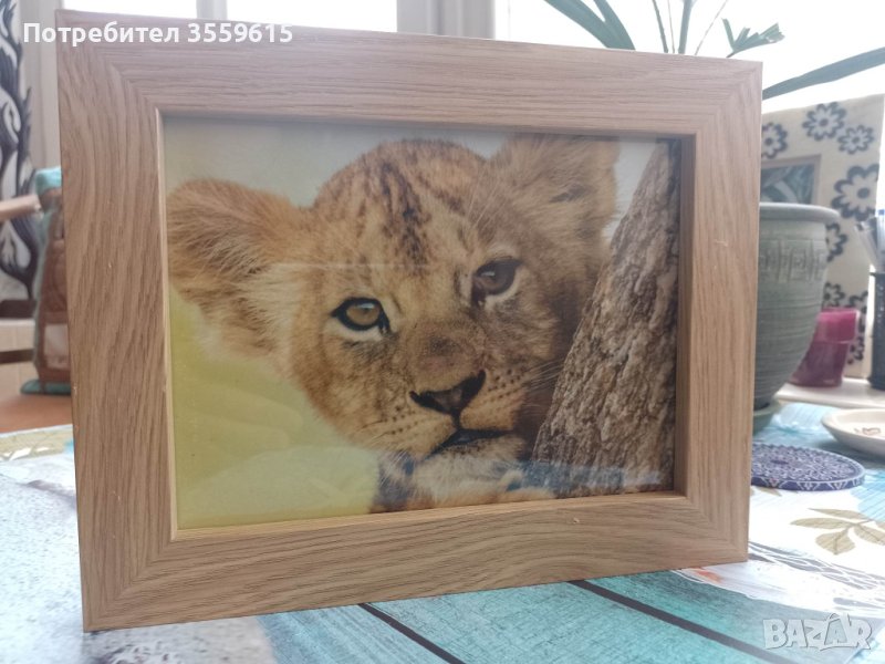 дървена рамка с принт Лъвче, снимка 1