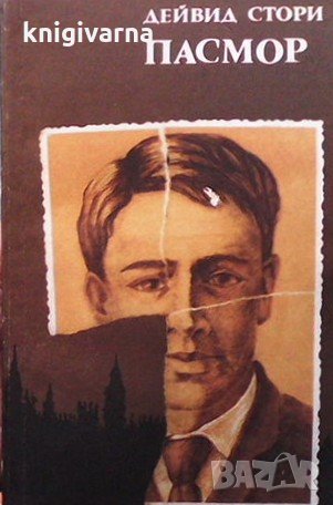 Пасмор Дейвид Стори, снимка 1