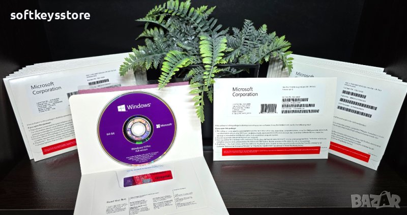 Windows 10 Home/Professional DSP OEI DVD Пакет  (ПРОМО до 29.02.2024), снимка 1