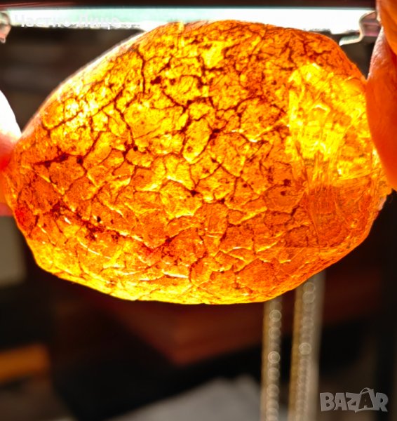 Голям Самороден Необработен Кехлибар Янтар 210,8 карата, на Милиони Години, снимка 1