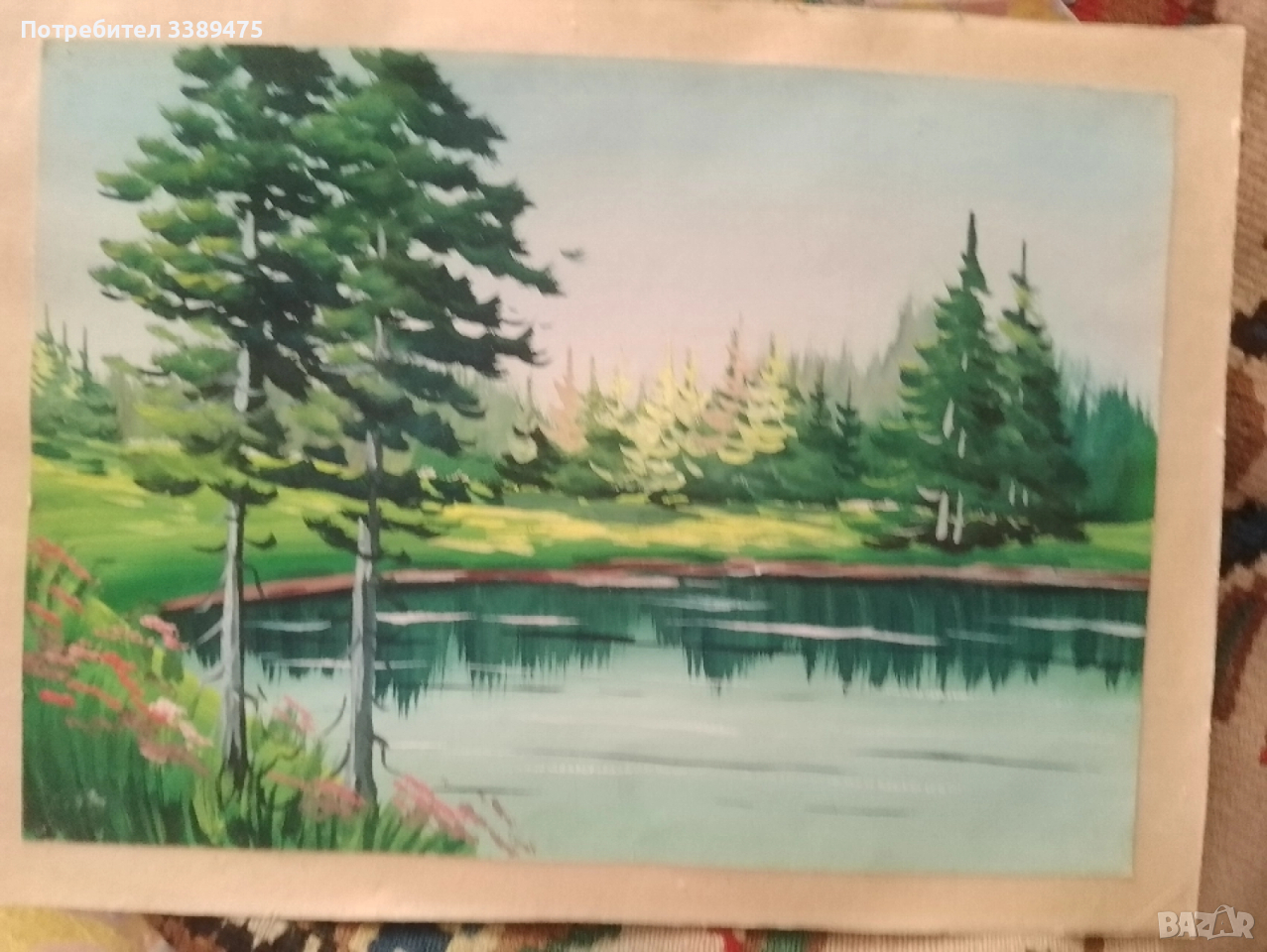 картина , снимка 1