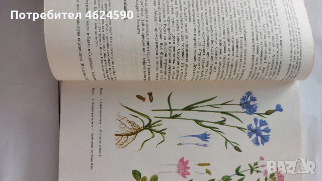 Билките във всеки дом, снимка 6 - Специализирана литература - 52344078